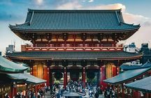 Tokyo Sightseeing Tour by Private Car with Bilingual Driver-Guide