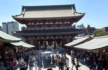 Tokyo Sightseeing Tour by Private Car with Bilingual Driver-Guide