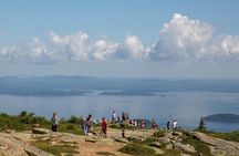 Brewed Awakening Cadillac Mountain Sunrise Tour