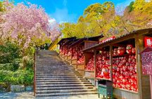 Osaka / Kyoto: Katsuoji, Arashiyama & Kinkaku-ji One Day Tour