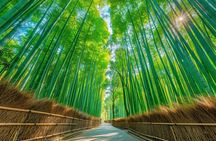 Osaka / Kyoto: Katsuoji, Arashiyama & Kinkaku-ji One Day Tour