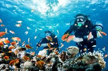 Mediterranean Diving Adventure from Antalya, Belek, Kemer