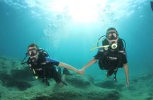 Boat Trip and Diving for Beginners–2 Dives Free Underwater Photos