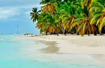 Guided Saona Island Tour in Punta Cana