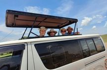 Amboseli National Park Day Safari With Options