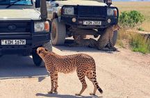 Amboseli National Park Day Tour from Nairobi
