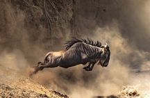 3 Days Maasai Mara Game Safari With Options