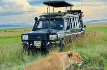 3Days Maasai Mara Migration Safari
