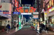 Osaka Delights: Traditional Japanese Food Tour