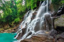 Ubud Private Tour: Waterfalls, Water Temple & Rice Terraces Swing