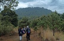 Explore the Caves of an Inactive Volcano on CDMX