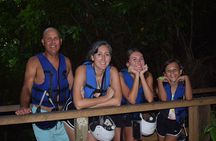 Fun Excursion to the Monkey Home and Waterfall Damajagua
