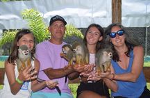 Fun Excursion to the Monkey Home and Waterfall Damajagua