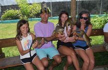 Fun Excursion to the Monkey Home and Waterfall Damajagua