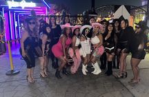 Hop on Hop off Party Bus Houston