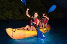 CLEAR BOTTOM KAYAKS Tour in Bioluminescent, Mosquito Bay