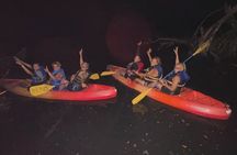 CLEAR BOTTOM KAYAKS Tour in Bioluminescent, Mosquito Bay