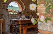  Private Bike Tour & Chianti Wine Tasting in Tuscany