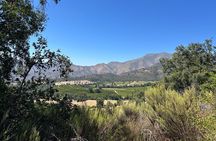Premium Private Wine Tour with Summit Toast & Cellar Experience