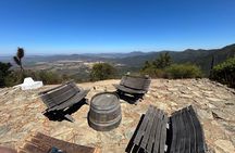 Premium Private Wine Tour with Summit Toast & Cellar Experience