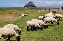 Mont Saint Michel recounted 2-hour guided walking tour