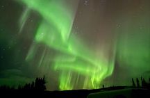 Fairbanks Alaska Luxury Car Private Tour