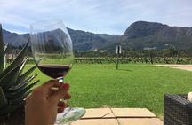 Franschhoek Wine Tram Hop-On Hop-Off Tour with Transfers