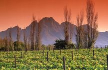 Franschhoek Wine Tram Hop-On Hop-Off Tour with Transfers