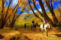Gold Discovery Trail Horse Trek Cardrona - Most popular!