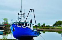 Bay Of Fundy Guided Tour