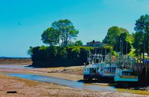 Bay Of Fundy Guided Tour