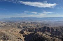 Private 1 Day Tour to Joshua Tree National Park