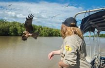 Spectacular Jumping Crocodile Cruise with Darwin Transfer Bus