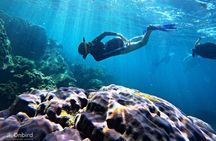 Island Chillax Hideaway: Snorkeling & Sunset BBQ [MAX 12 PAX]