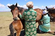 3 Day Nomadic Real Life Experience