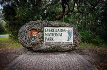 Private Everglades Eco Adventure: Airboats, Gators & Wild Florida