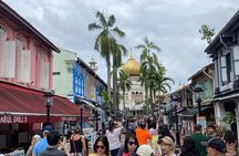 Big Bus Van Singapore City Tour 4 Hours ( Max 8 people) 