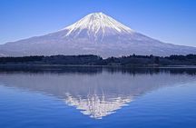 Tokyo: Mt. Fuji Day Tour