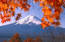 Mount Fuji Highlights Full Day Bus Tour from Tokyo