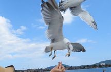 Amanohashidate & Miyama 1-Day Bus Tour: From Osaka/Kyoto w/ Lunch