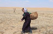 3 Day Nomadic Real Life Experience
