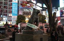 Shibuya by night in Small Groups: Neon Lights and Local Flavors
