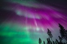 Rovaniemi: Northern Lights Family Tour by Bus with Photos