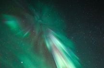 Rovaniemi: Northern Lights Family Tour by Bus with Photos