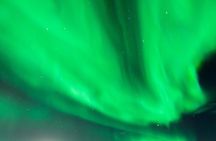 Rovaniemi: Northern Lights Family Tour by Bus with Photos