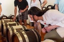 Modena Food Tour: Family Acetaia, Market & 10+ Tastings (Max 8)