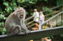 Private Ubud Monkey Forest, Waterfall, Rice Terrace and Temple