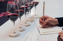  Santiago Private Don Melchor De Luxe Wine Tour