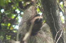 Manuel Antonio National Park Guided Tour