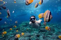 Half Day Snorkeling with Manta Ray Nusa Penida